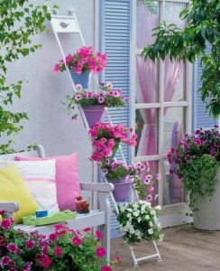 garden 6