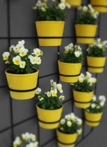 garden8