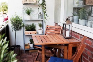 garden9