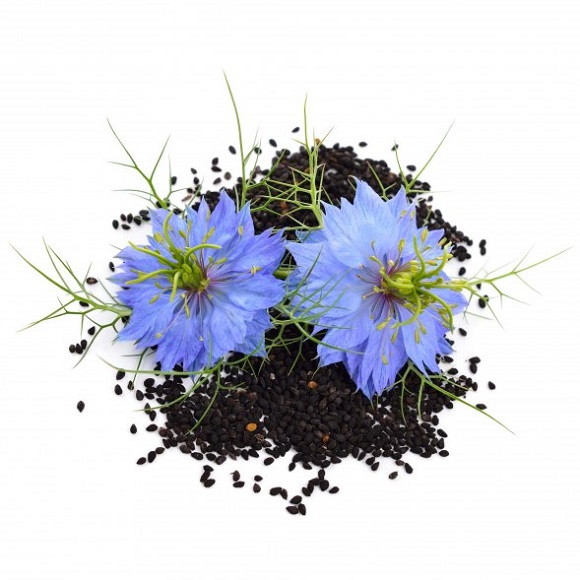 Black-Cumin