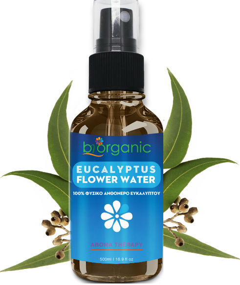 eukaluptus_flower__water_1